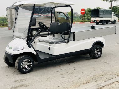 Xe điện chở hàng LT-A617.H8